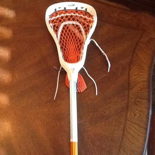 Brine Radius 6000 Stick and Head