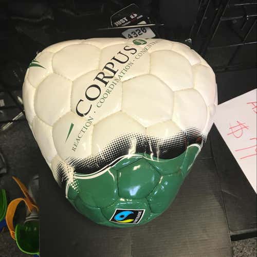 Corpus Reaction Training Ball