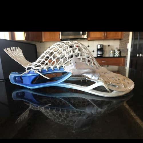 Blue to White Dyed Stallion w/ stringing