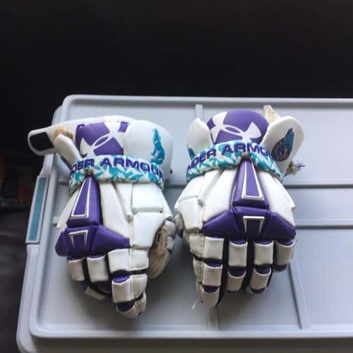 Game Worn Rochester Knighthawks gloves