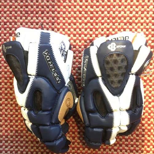 Pingry Big Blue Maverik Rome Gloves