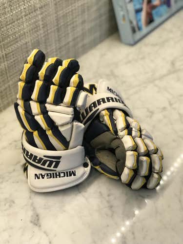 University of Michigan Team Issued Gloves