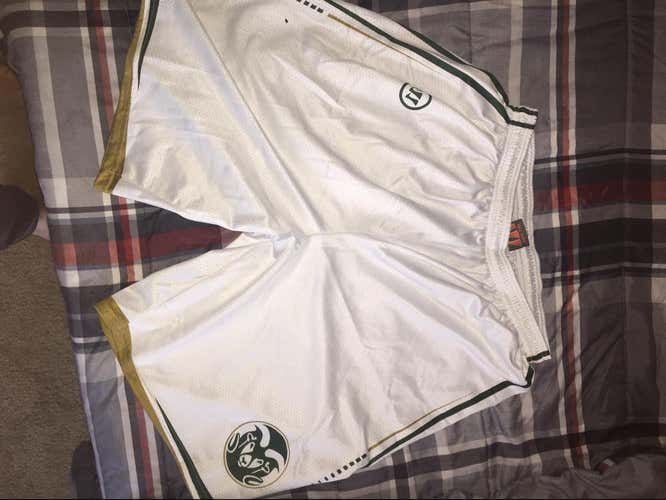 Colorado State University Game Shorts