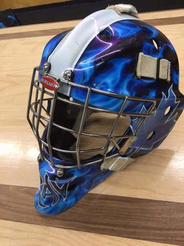 Bauer Profile 950 Custom Painted Mask