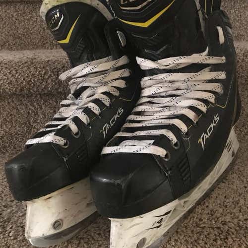 Ccm Tacks 8.5 D