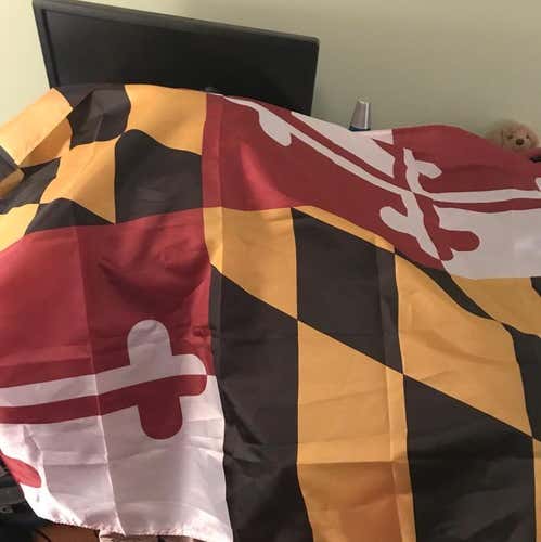 maryland flag