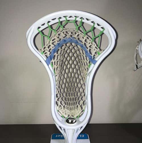 Tribe 7 Sceptre 7