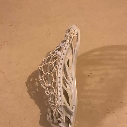 Traditional Maverik Head