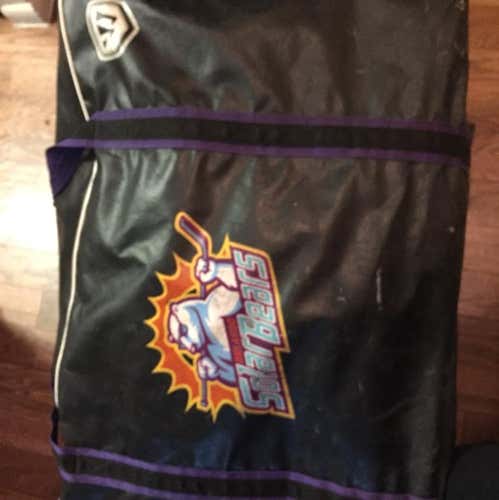 Solar Bears Hockey Bag