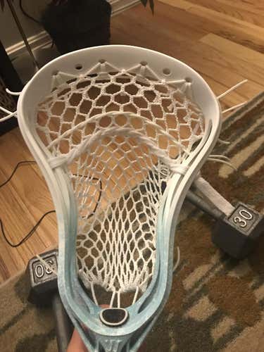 Warrior Evo 4X
