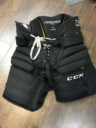 CCM Premier Pro