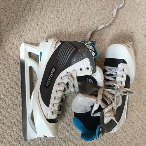 Bauer Reactor