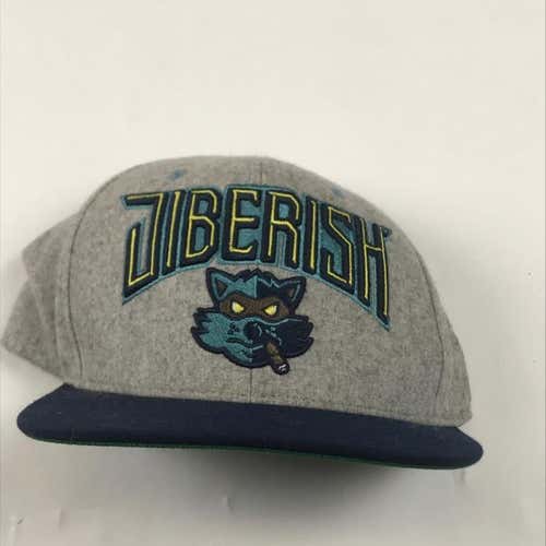 Mitchell & Ness Jiberish Snap Back
