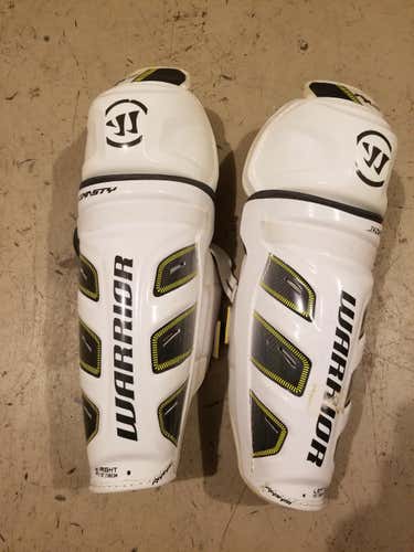 Warrior Shin Guards