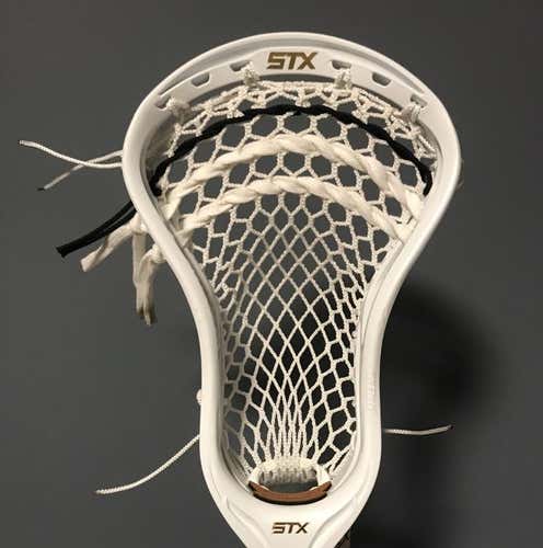 Brand New Stallion 700