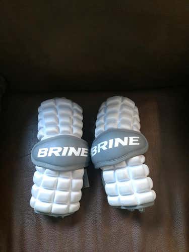 Brine Arm Pads