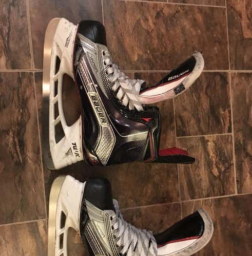 Bauer 1X 8.0D