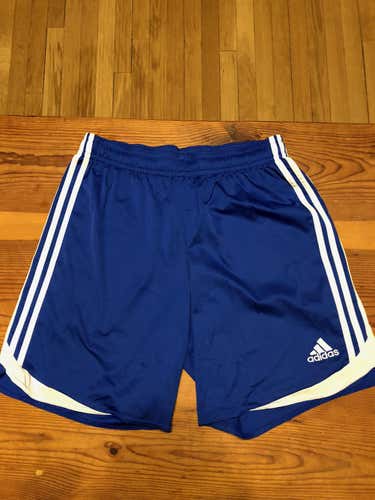 Adidas Shorts and UCONN Shooter