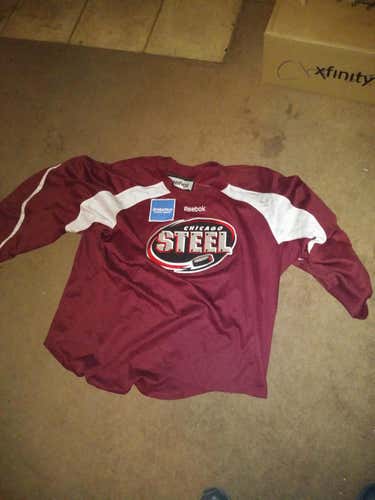 Reebok chicago steel goalie cut jersey
