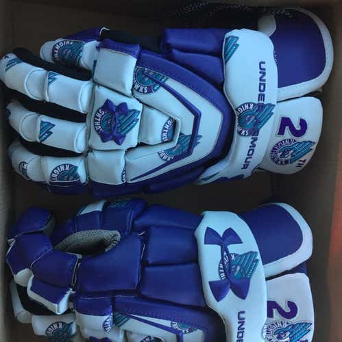 Rochester Knighthawks 20th Anni Gloves