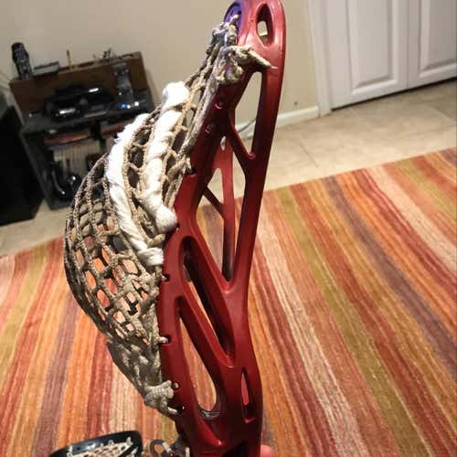 Warrior No Noz (No Trades)