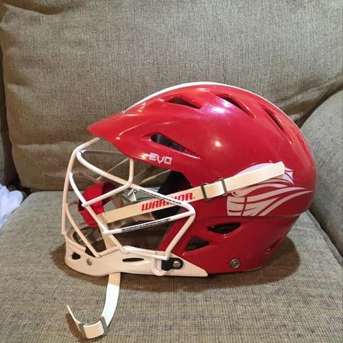 Warrior EVO Helmet - Bandits LC