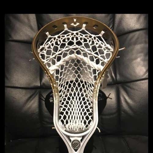 BN Tactik W/ Prime Mesh