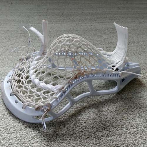 StringKing Mark 2D Head
