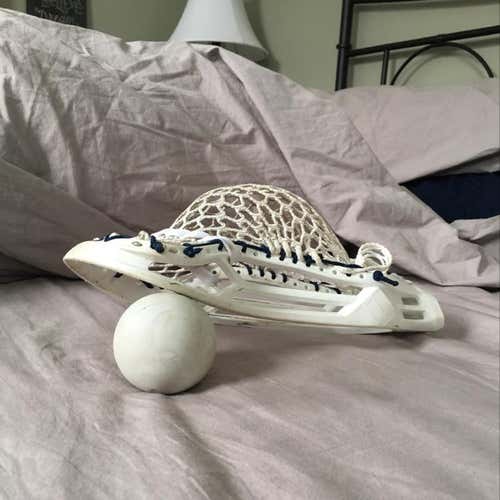 Epoch Sequel Strung With Otter