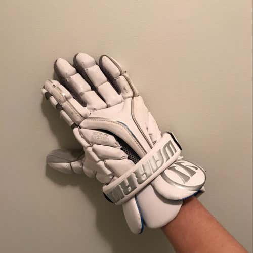 LN Warrior Evo Gloves
