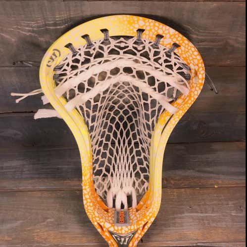 Warrior Burn 2 Snake Skin Sunset Dye