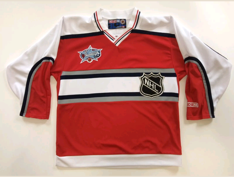 Avalanche NHL Logo Rare Jersey size L