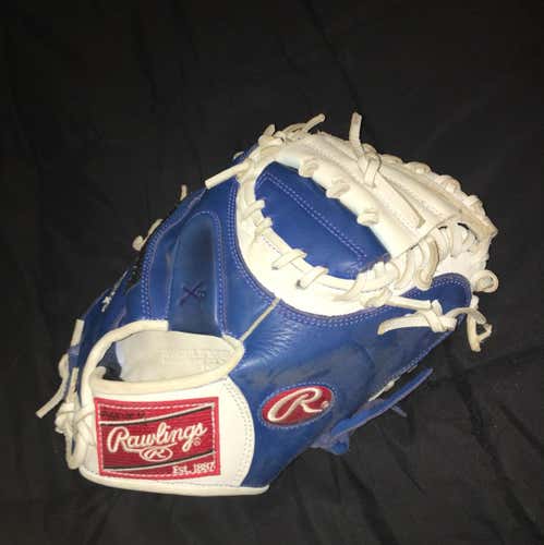 Catchers Glove