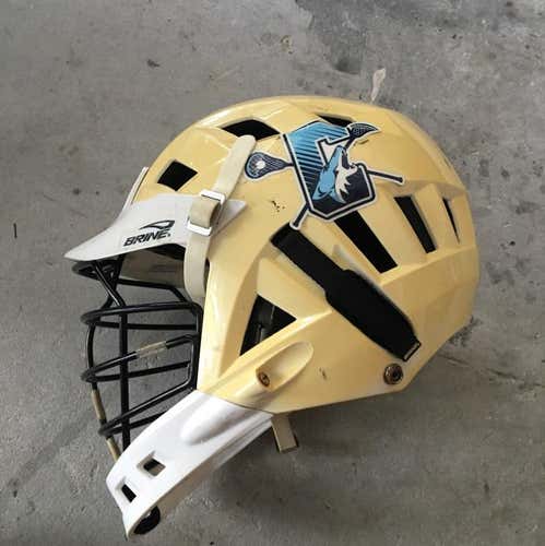 Brine Triad ST2 Helmet