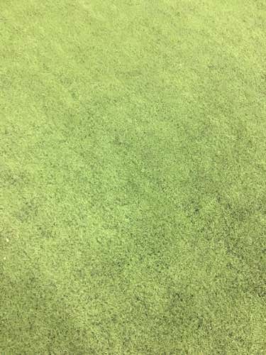 Mark 2V 2 Command Xs