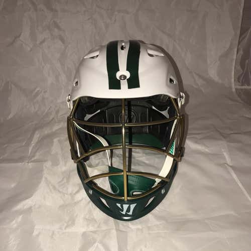 Custom Warrior Regulator