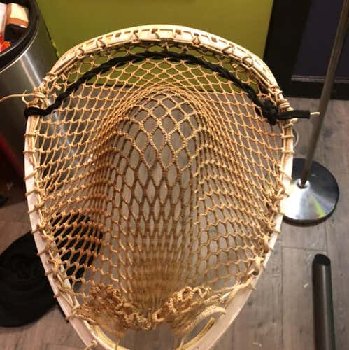Stx Shield