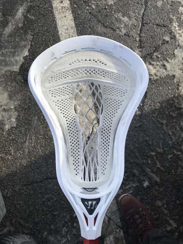 Warrior Regulator Warp