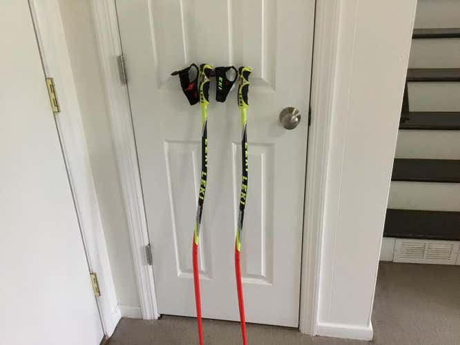 Leki World Cup GS ski poles used one season