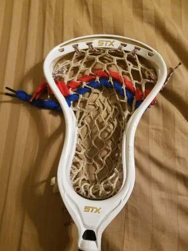 STX Stallion 700 Head