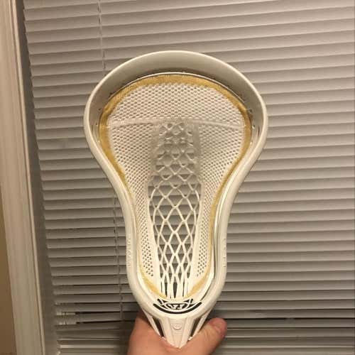 BN Warrior Warp Next (CHEAP!!!)