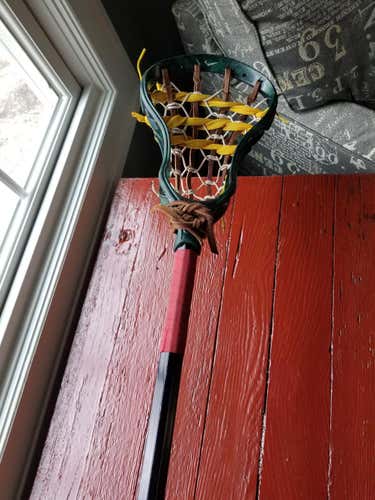 Traditional Lakota