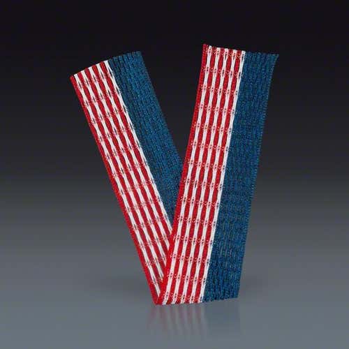 BRAND NEW Money Mesh Liberty