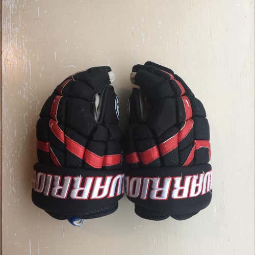 Northeastern Huskies 14” Hockey Gloves