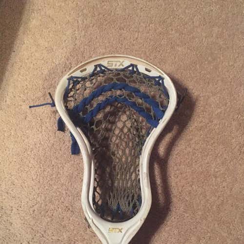 Stallion 700 For Trades