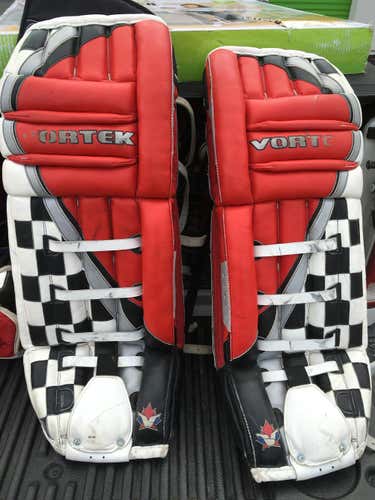 Goalie Equipment (Full Set) Senior300 obo
