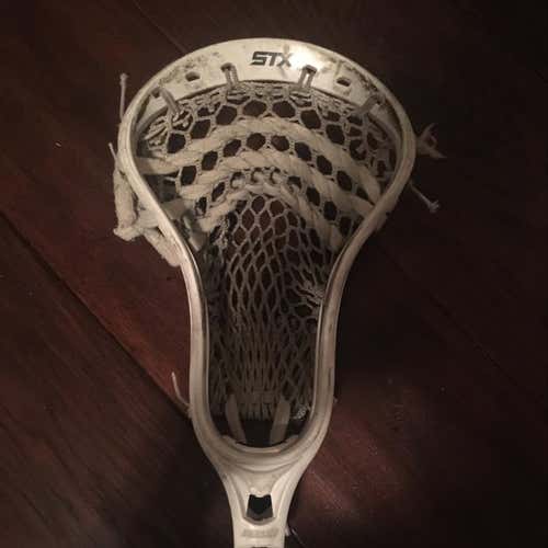 Stallion Head - Strung