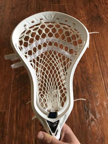 New Warrior Evo 5 Head