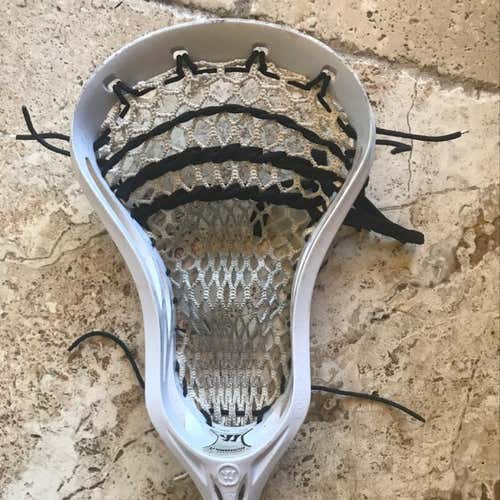Warrior Evo Next Head