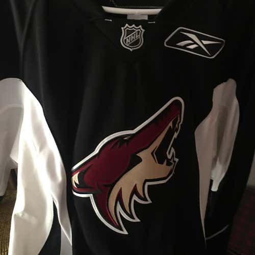 Arizona Phoenix Coyotes Reebok Pro Stock Jersey